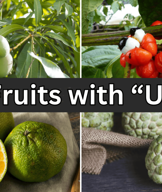 fruits-with-u