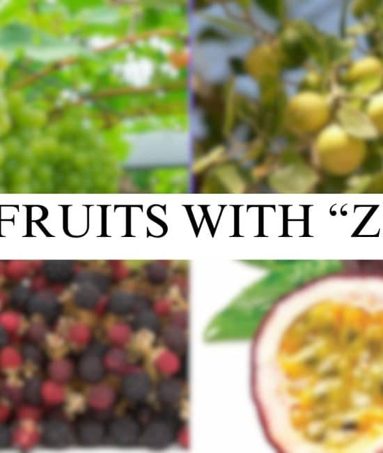 fruits with z