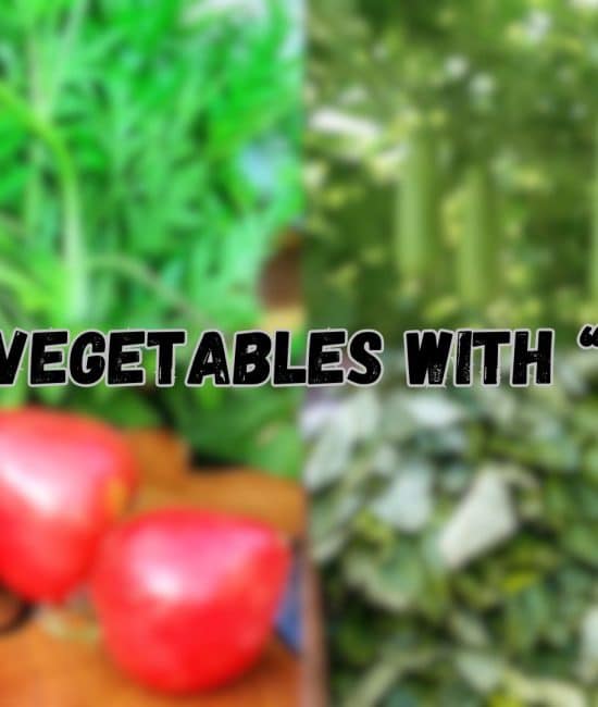 vegetables with u