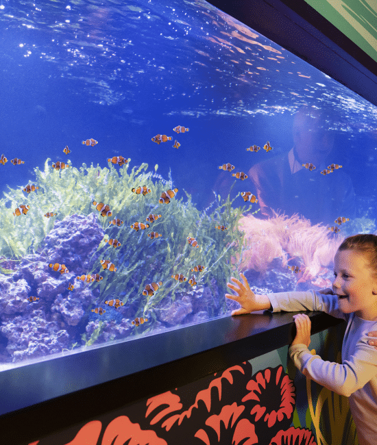 Travelling in London With Kids: 5 Must-Visit Places