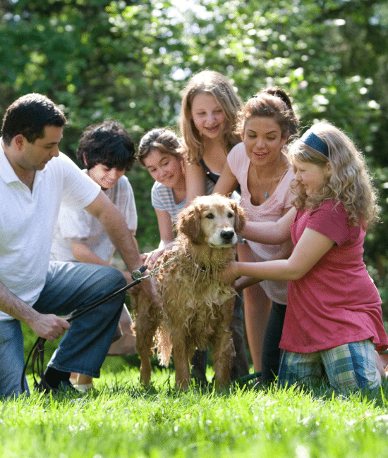 Choosing the Right Pet For Your Family