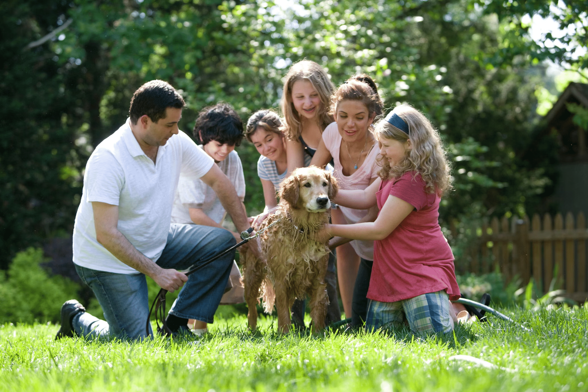 Choosing the Right Pet For Your Family