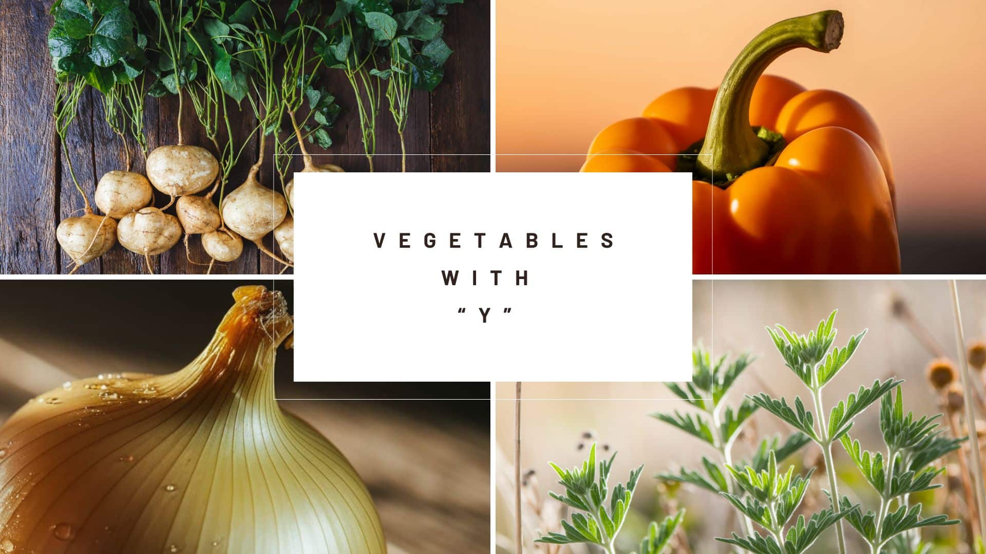 9 Vegetables That Start with Letter "Y"