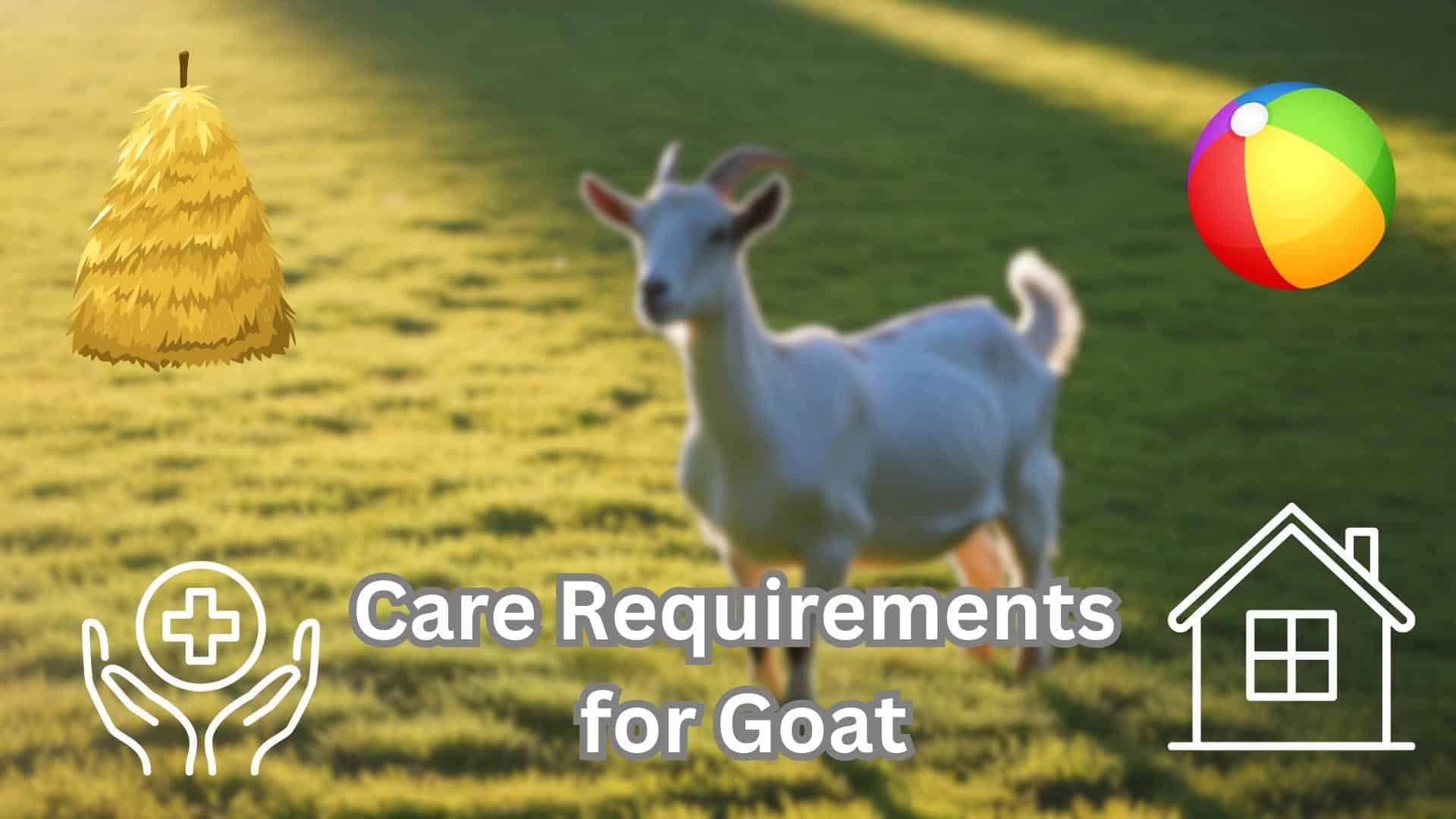 Care_Requirements_for_Your_Goat