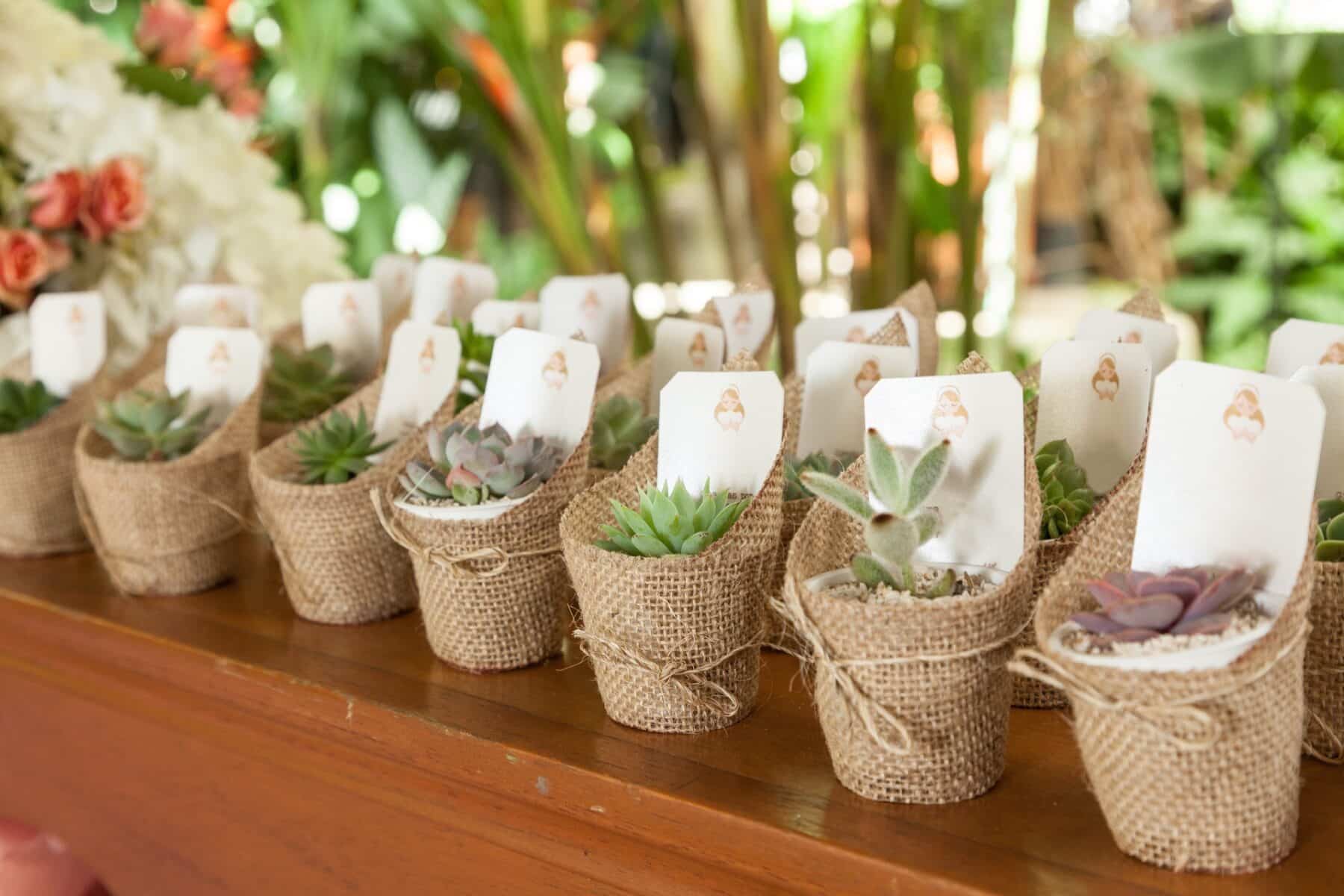Eco-Friendly Party Favors