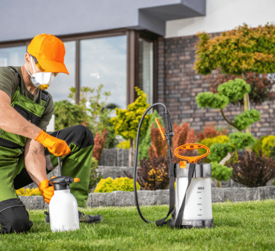 Eco-Friendly Pest Control Solutions: Safe Methods for Your Home and Family