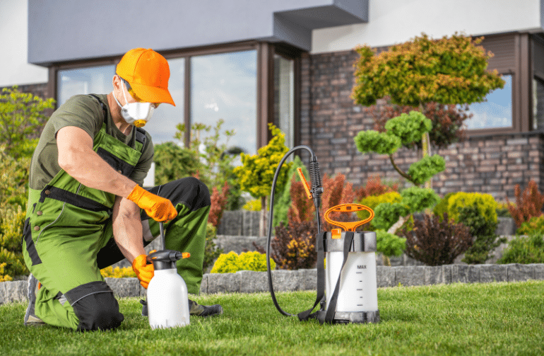 Eco-Friendly Pest Control Solutions: Safe Methods for Your Home and Family