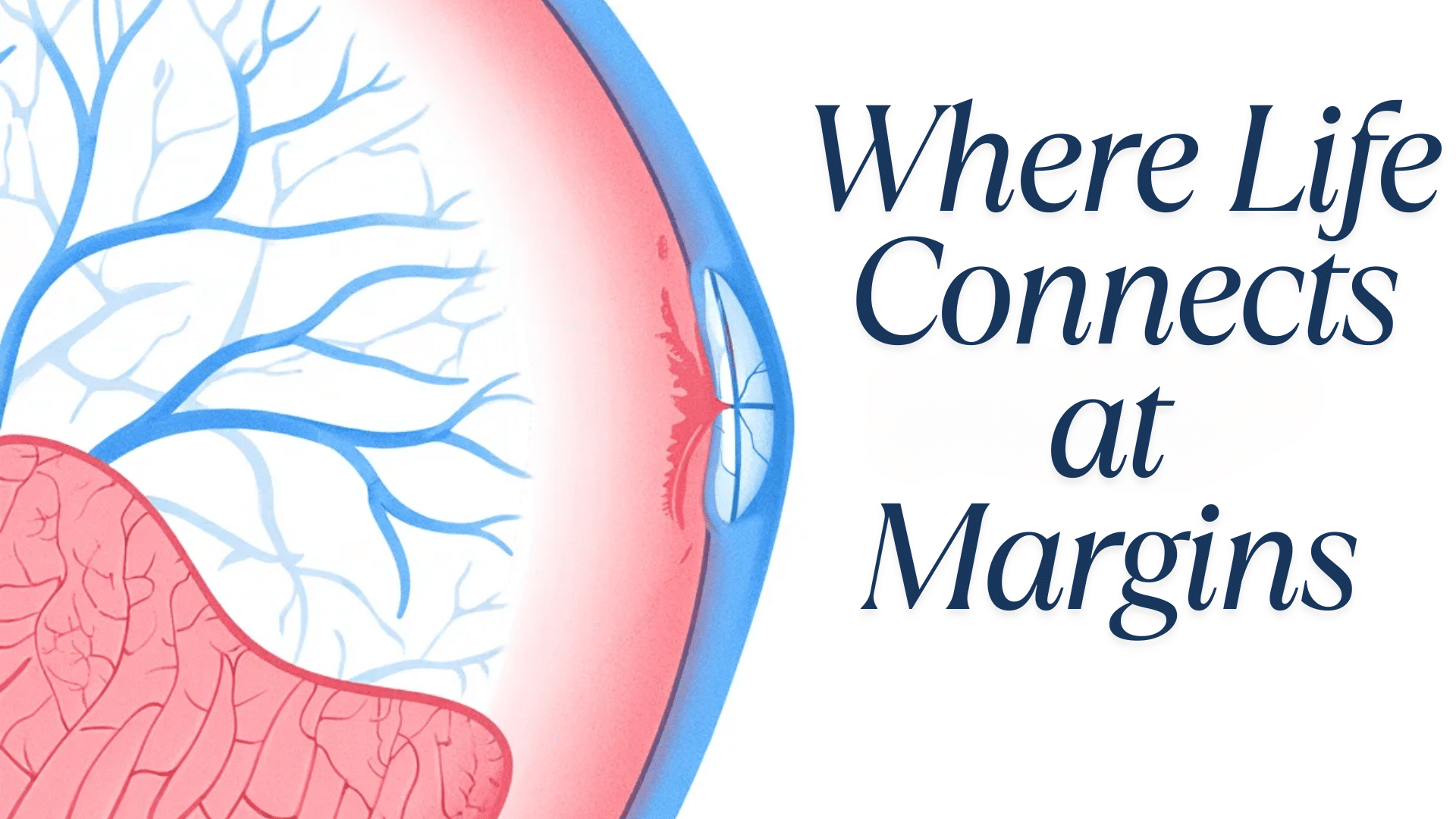 Edge of Life: Marginal Cord Insertion