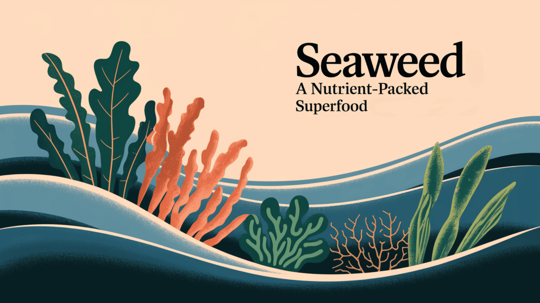 The Nutritional Benefits of Seaweed