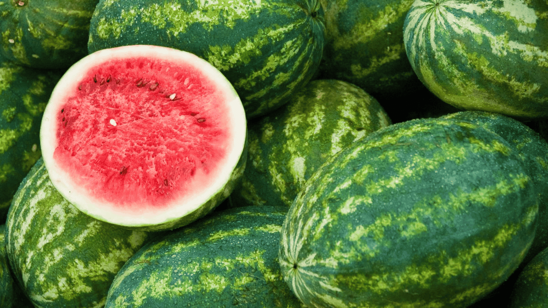Watermelon