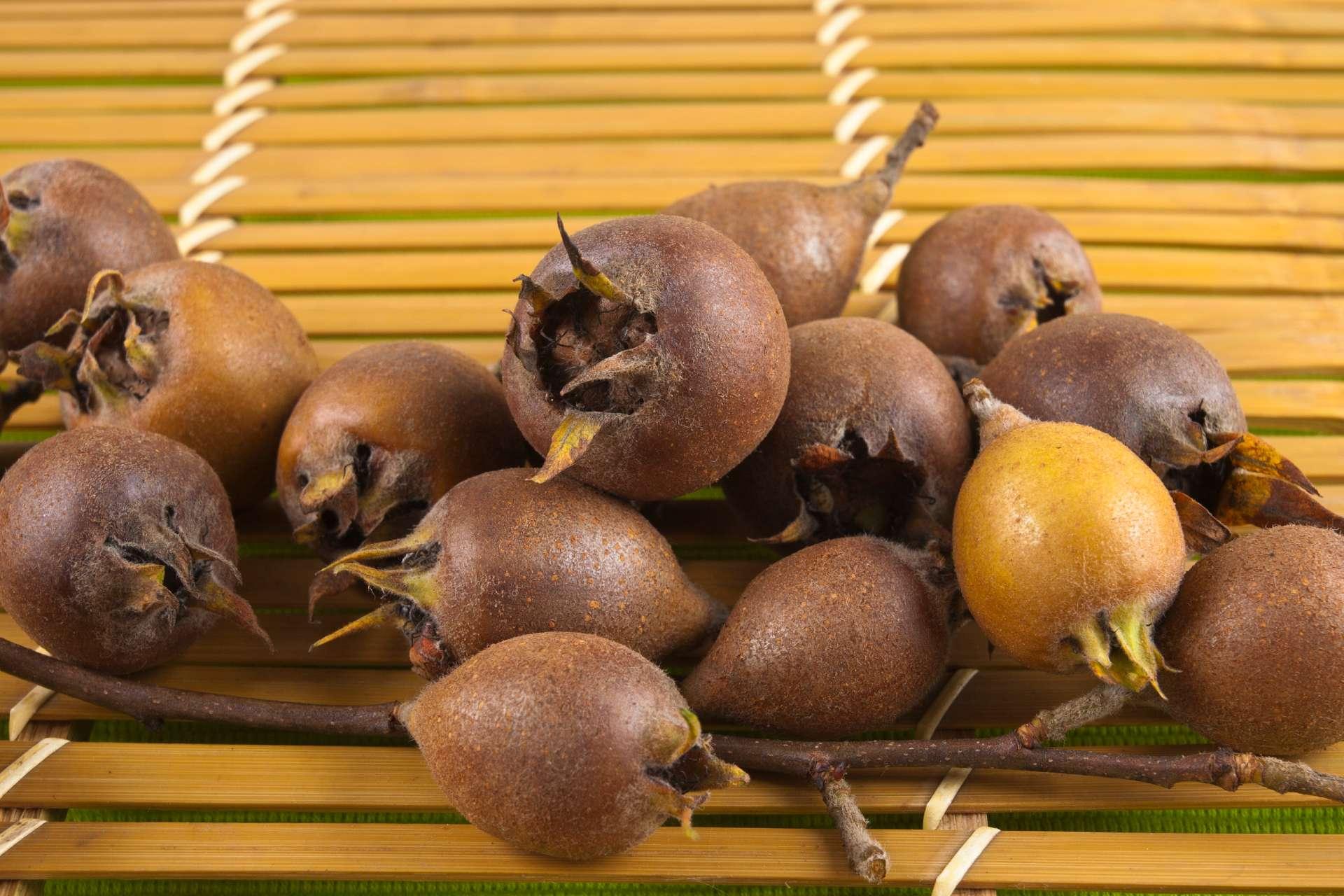 Western_Medlar