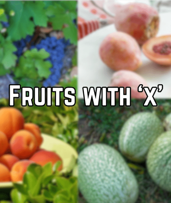 fruits with x