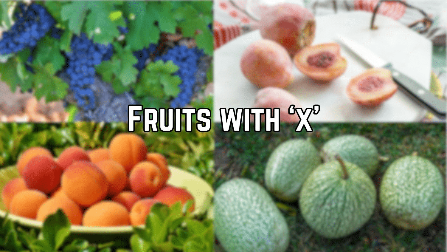 fruits with x