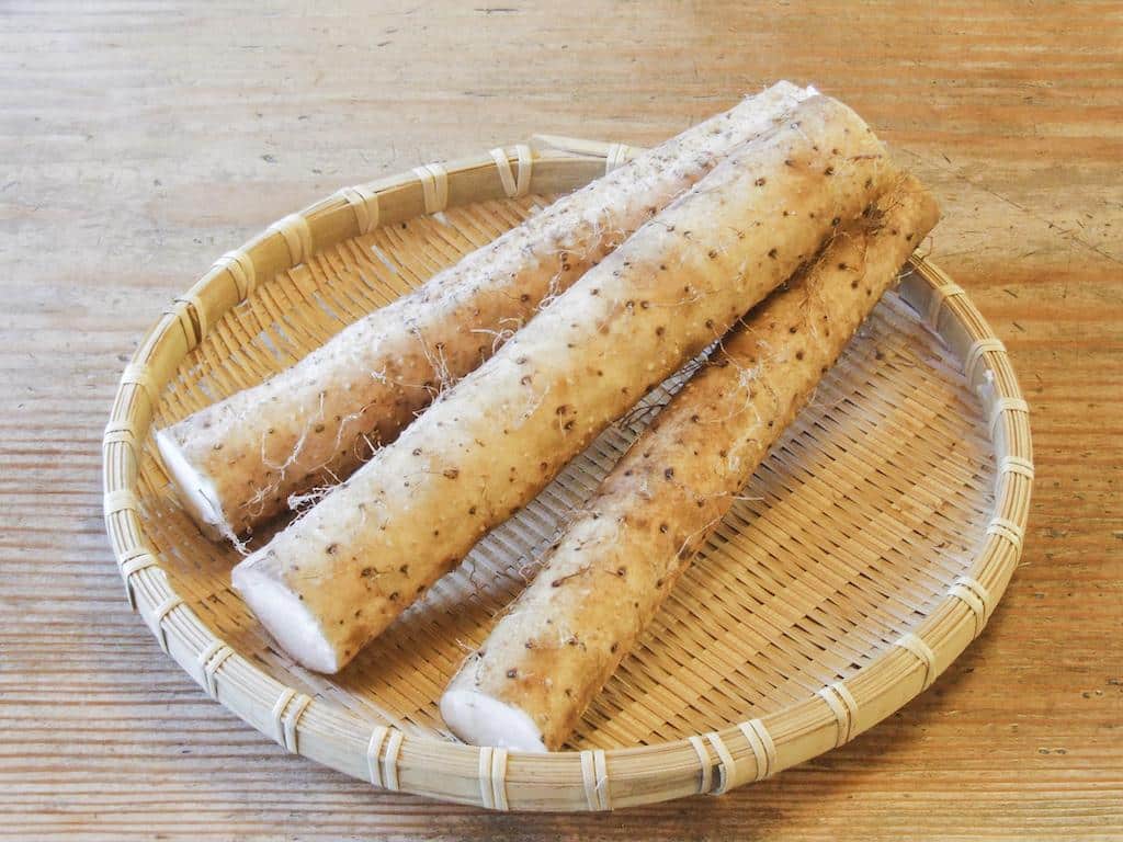 j-17_Jinenjo_Japanese_Yam