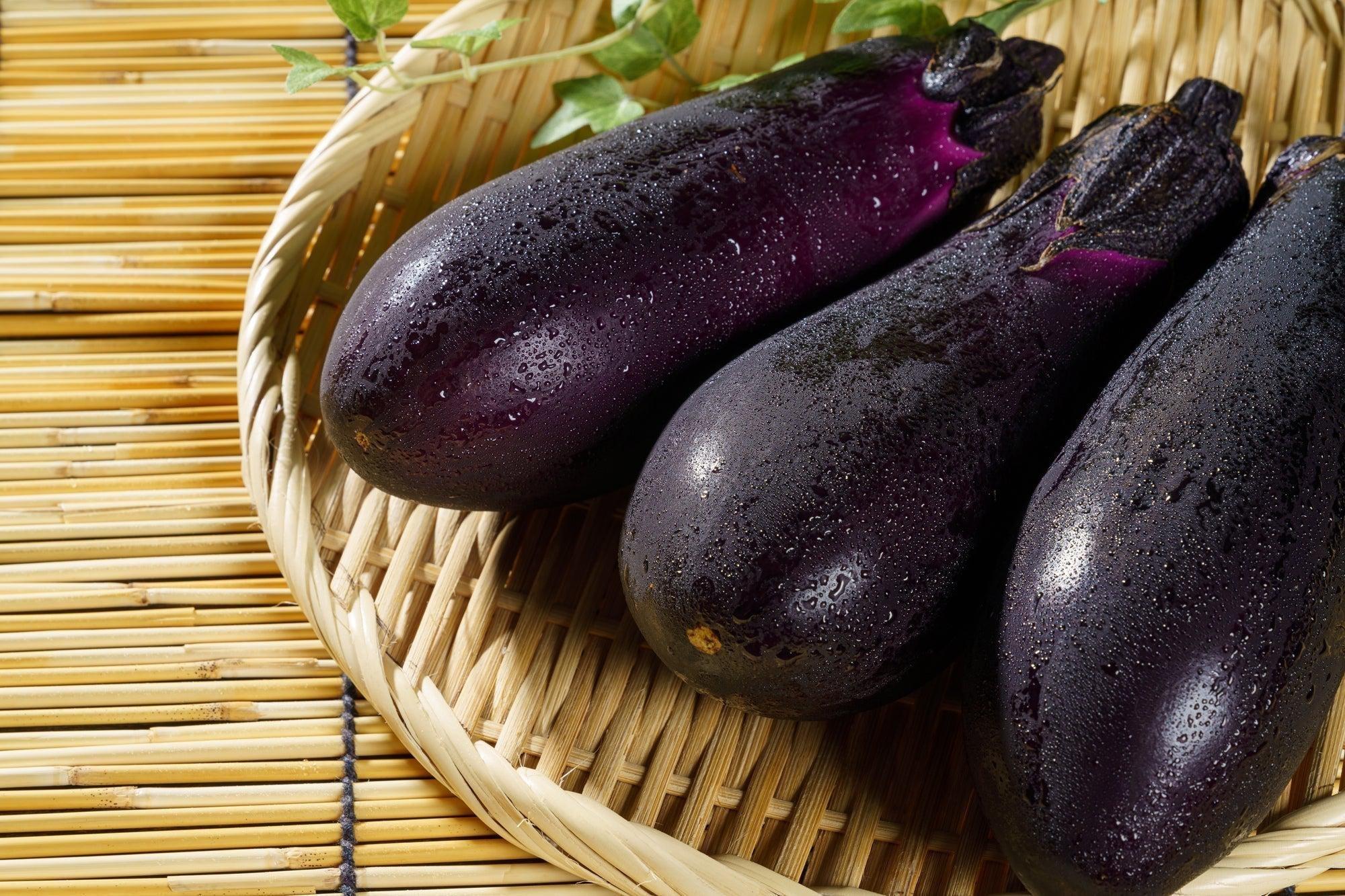 j-8_Japanese_Eggplant_Nasu
