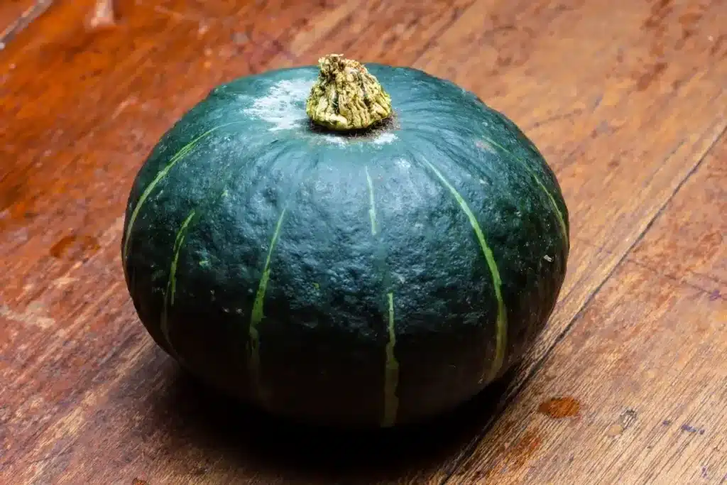 j-9_Japanese_Pumpkin_Kabocha