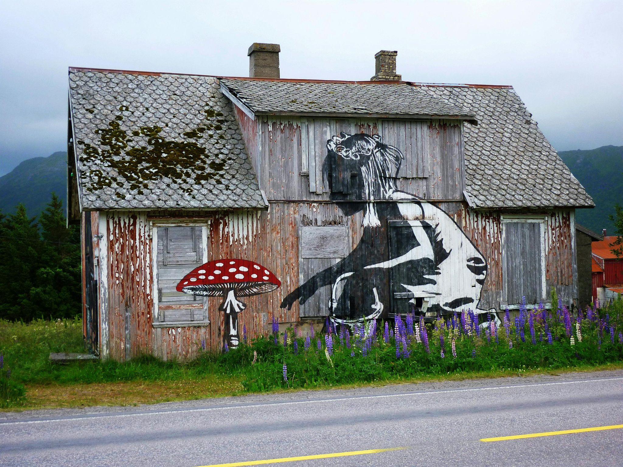 Drawing a Colorful Mushroom (Amanita Vibes)