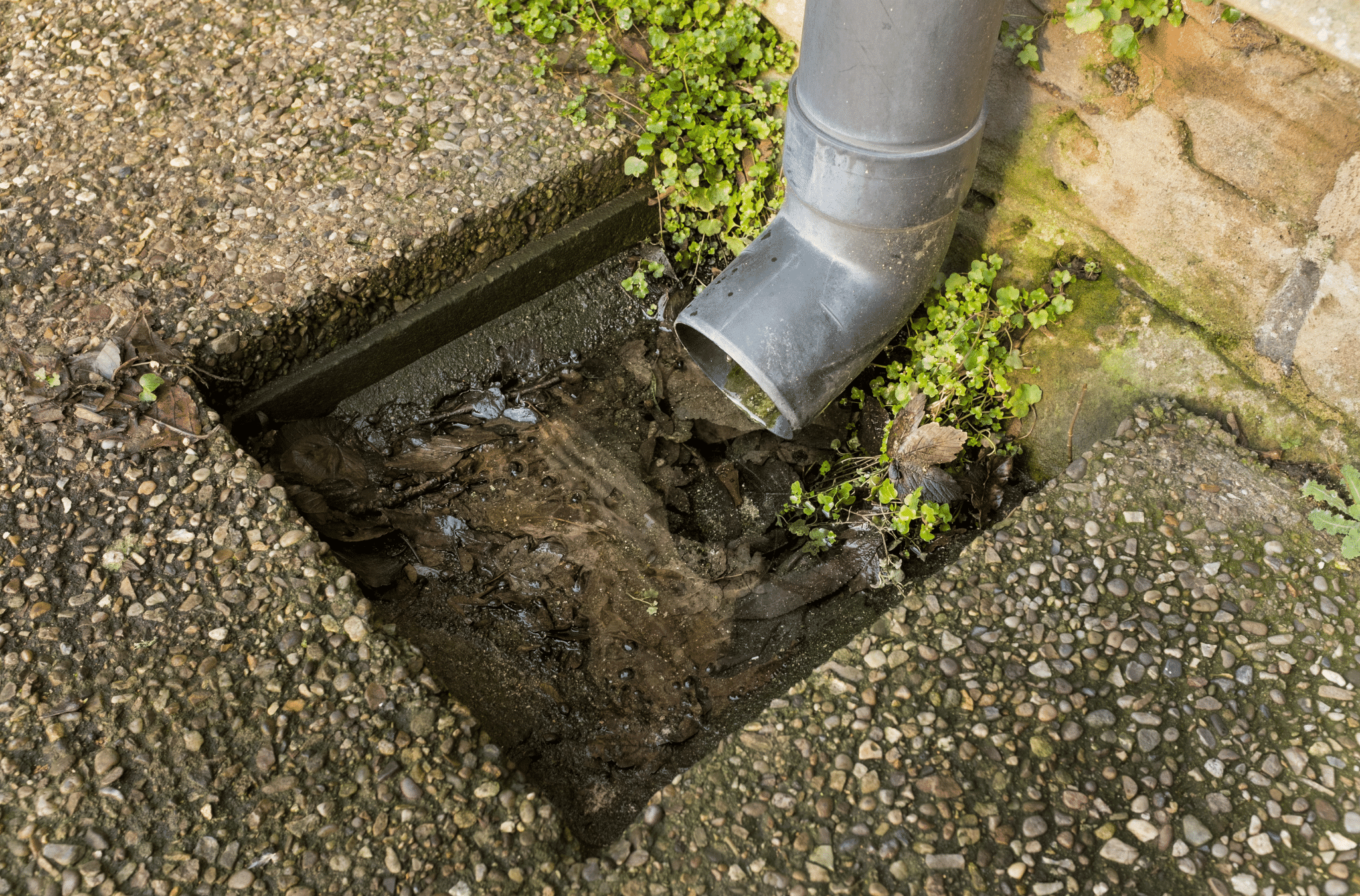 Blocked Drains Are Becoming a Major Issue in Gold Coast—Here’s Why Yours Might Be Next