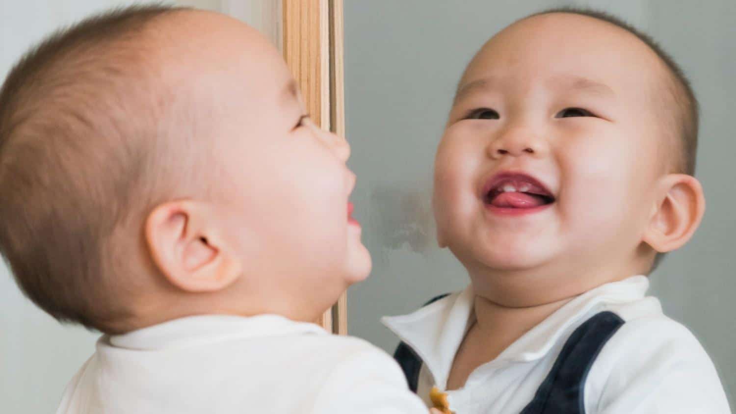 Ethical_Considerations_and_Public_Perception