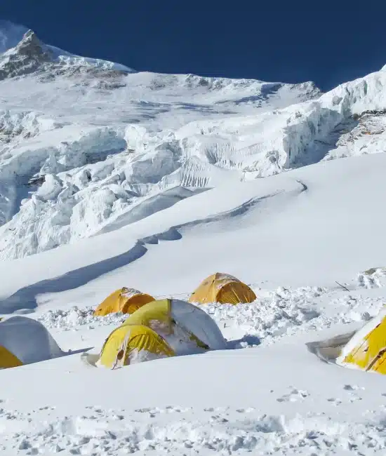 How Mules Are the Backbone of Manaslu Supply Chain