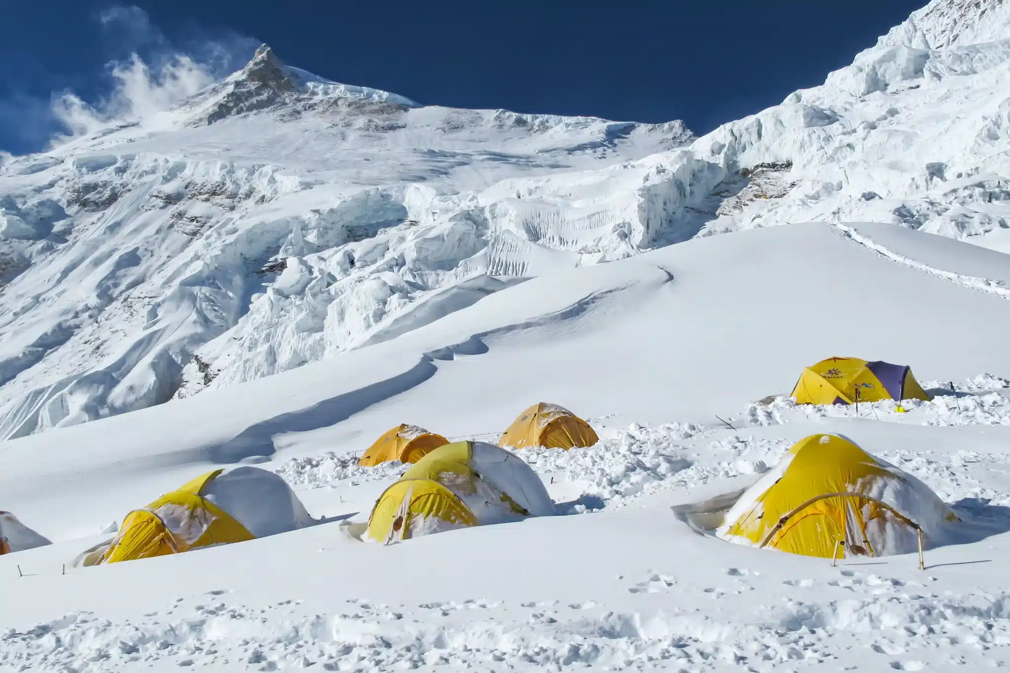 How Mules Are the Backbone of Manaslu Supply Chain