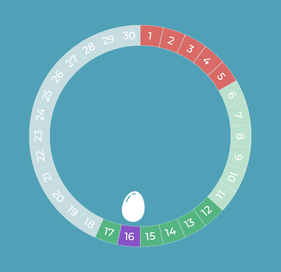 Ovulation Calculator: Why is It Needed and How to Use It