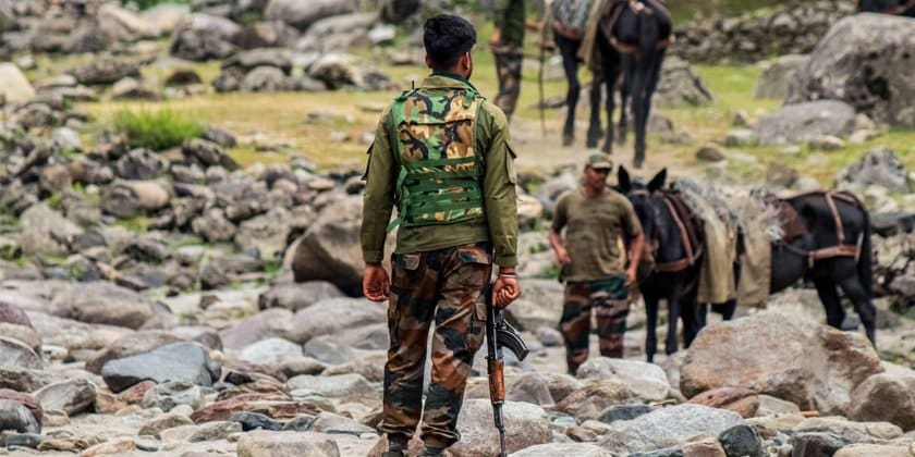 The Mule Handlers: Unsung Heroes of the Trail