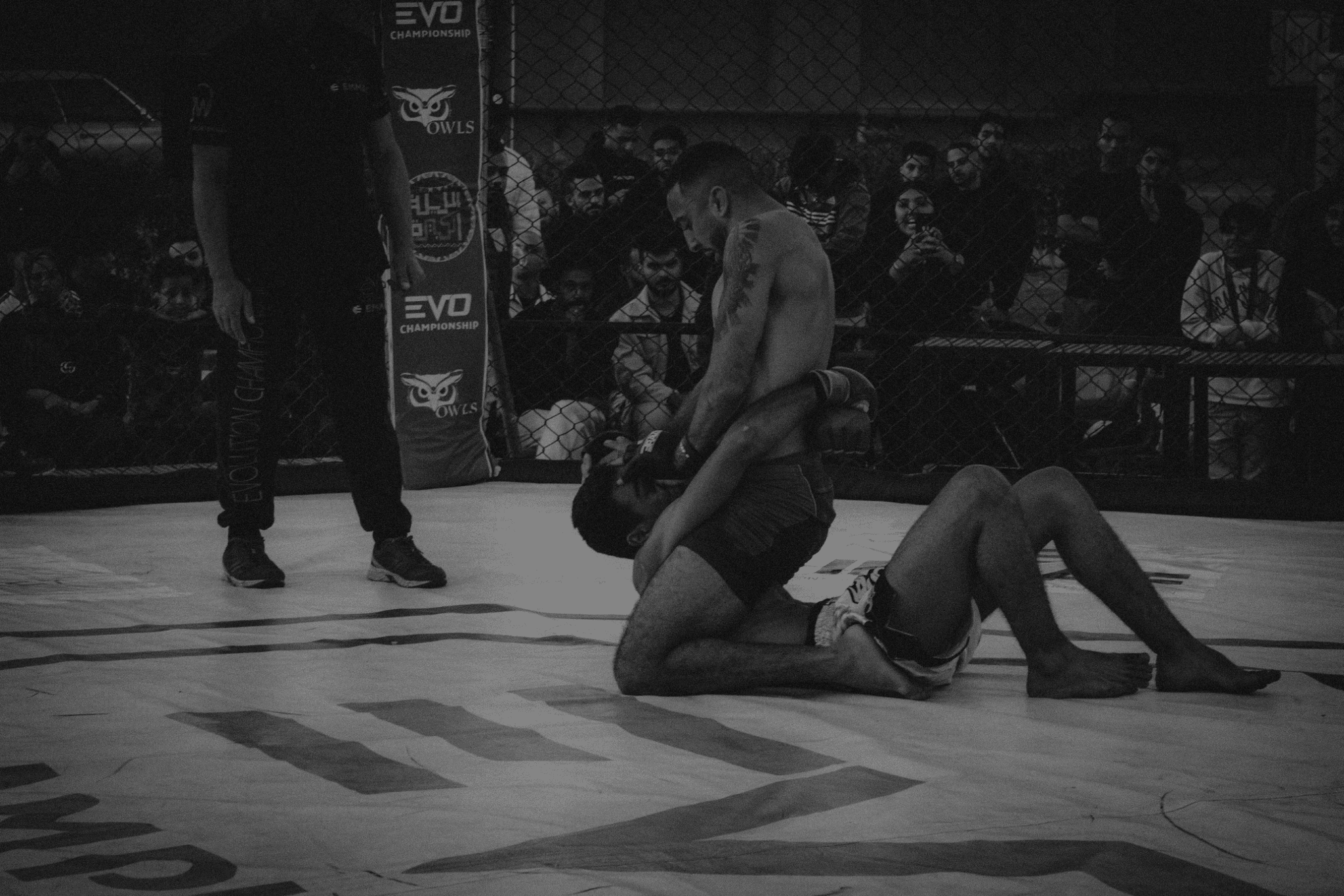 Best Boxing Documentaries You Need to Watch