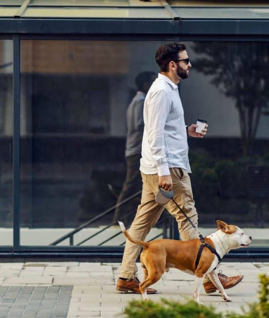 Instinct Dog Training NYC Review – All About This NYC Dog Trainer