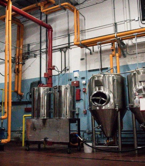 Pest Control in Bars and Breweries: Essential Strategies for Maintaining Cleanliness and Safety