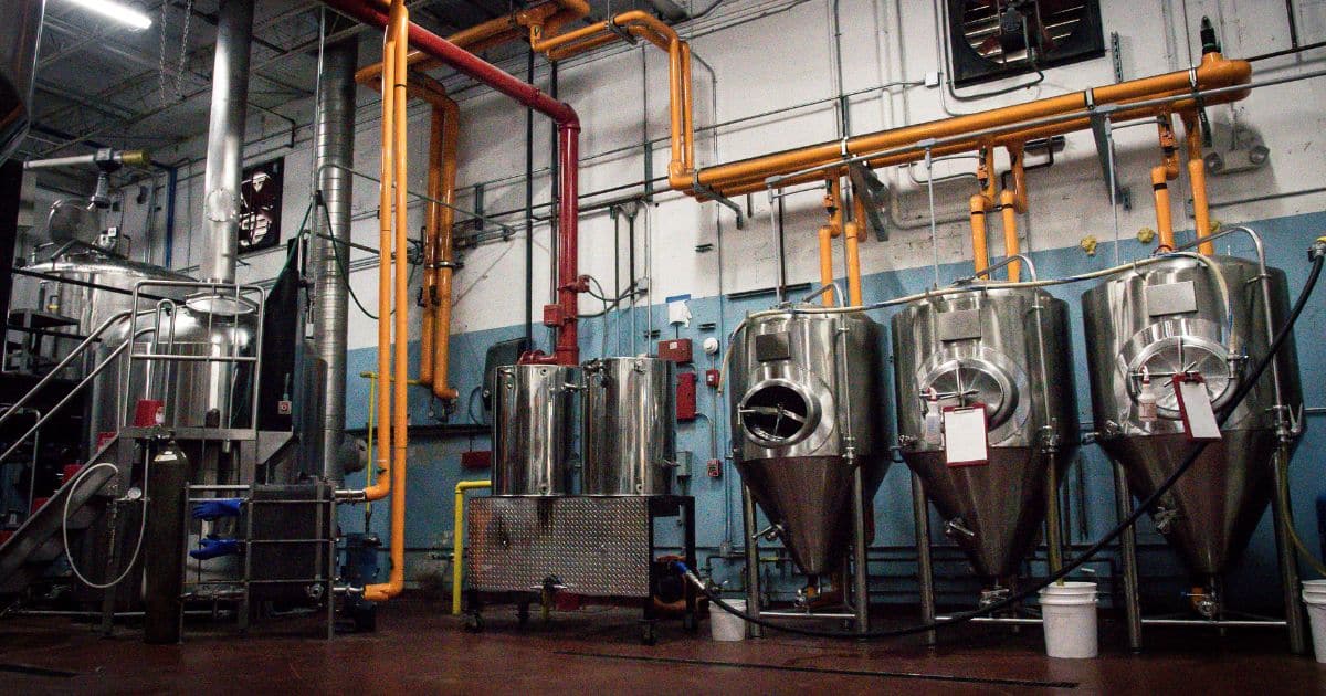 Pest Control in Bars and Breweries: Essential Strategies for Maintaining Cleanliness and Safety