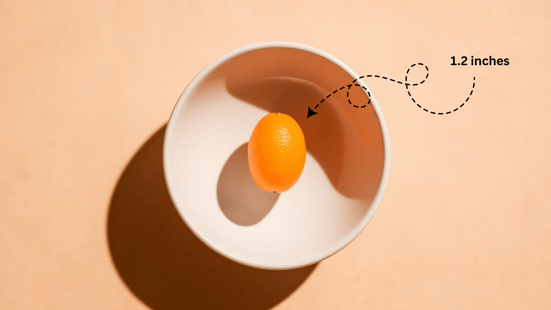 Baby_Size_at_Week_10_-_Kumquat