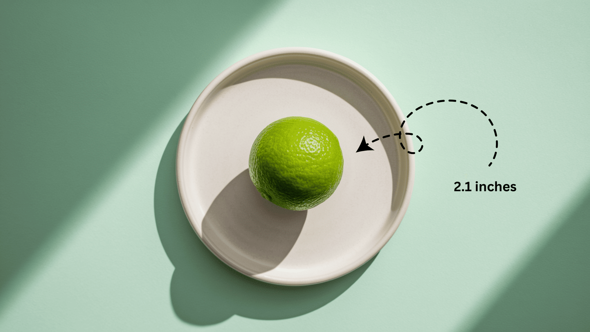 Baby_Size_at_Week_12_-_Lime