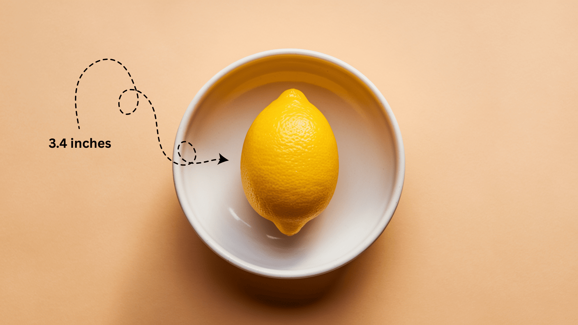 Baby_Size_at_Week_14_-_Lemon