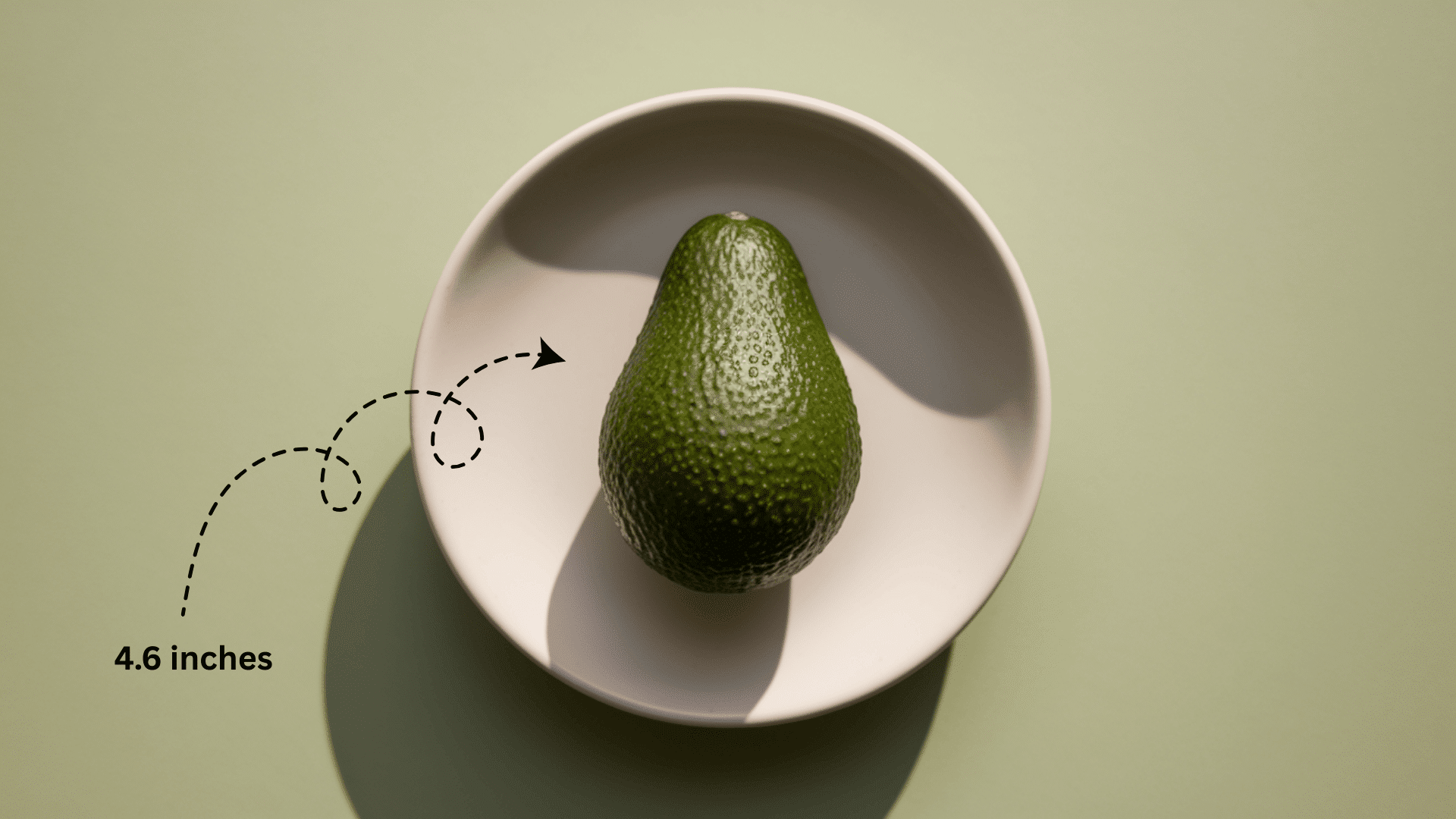 Baby_Size_at_Week_16_-_Avocado