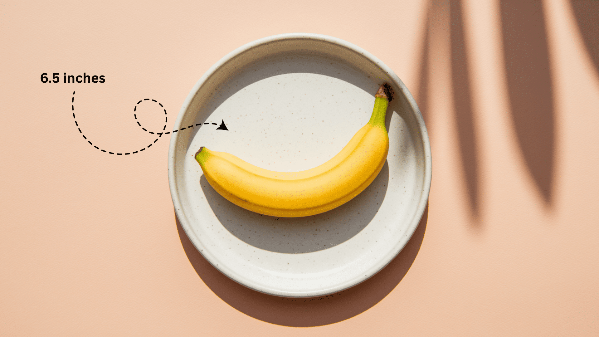 Baby_Size_at_Week_20_-_Banana