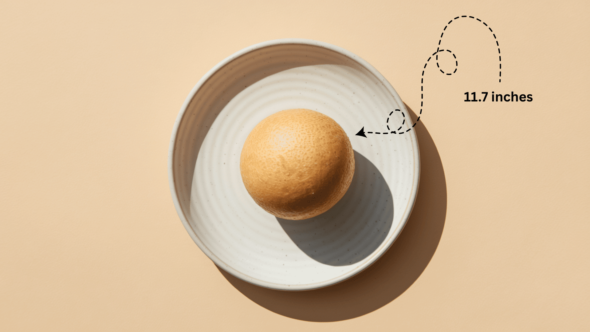 Baby_Size_at_Week_32_-_Jicama