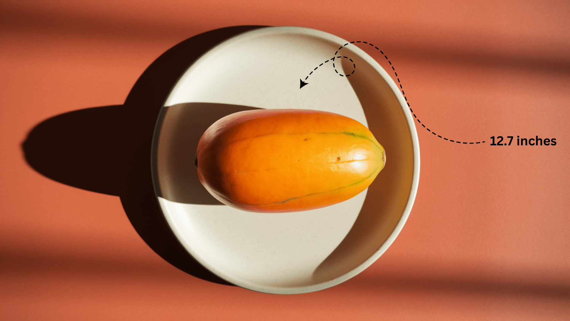 Baby_Size_at_Week_36_-_Papaya