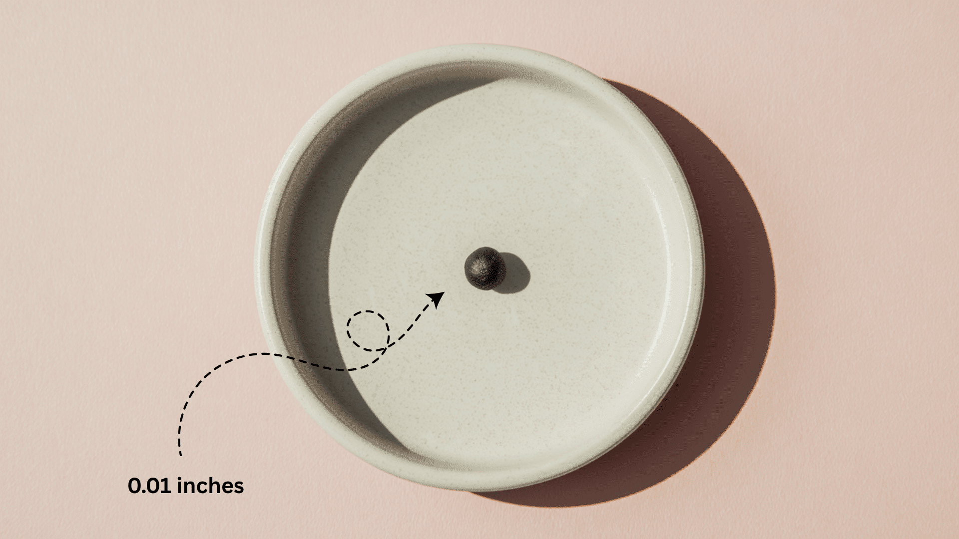 Baby_Size_at_Week_4_-_Poppy_Seed