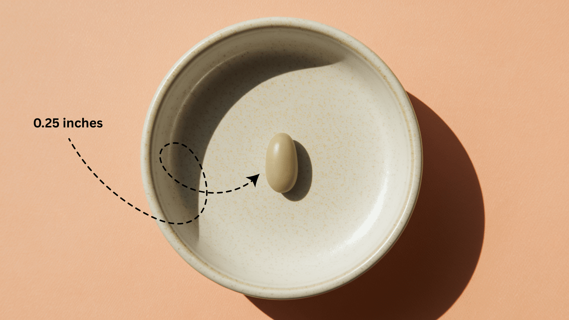 Baby_Size_at_Week_6_-_Lentil