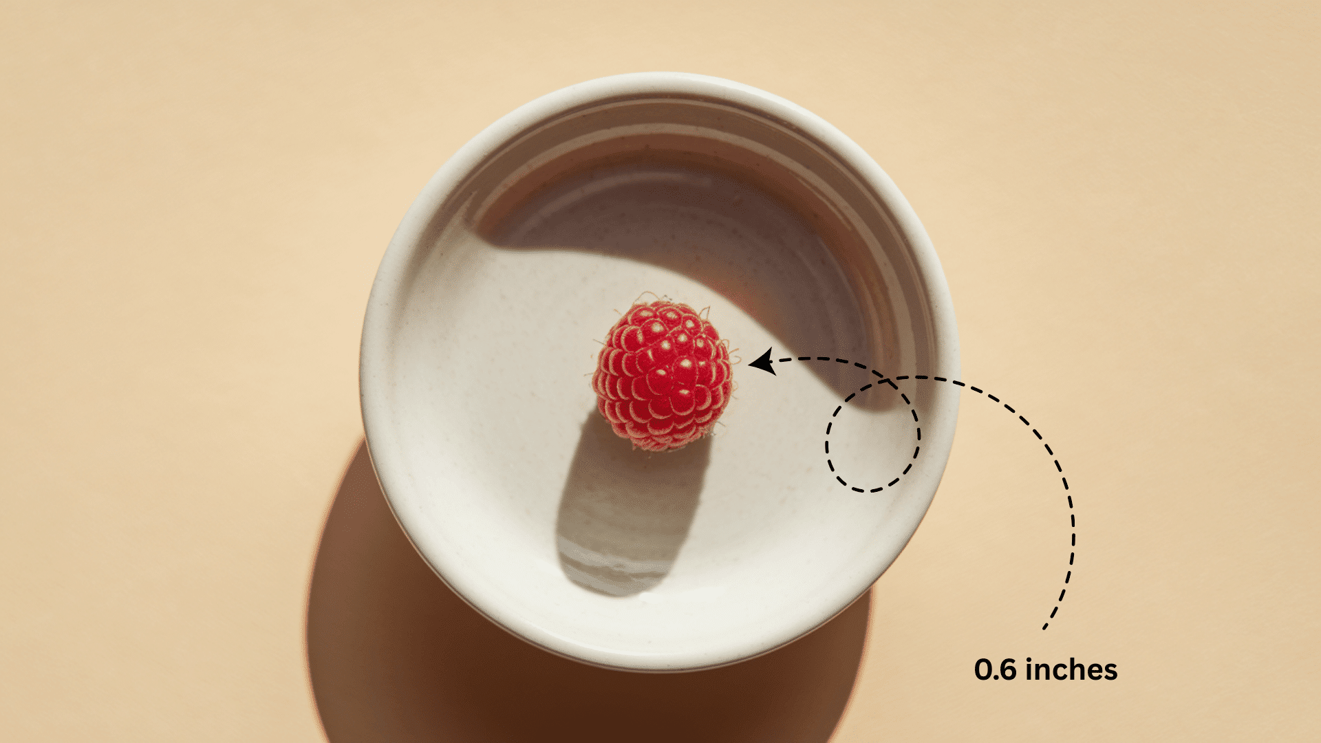 Baby_Size_at_Week_8_-_Raspberry