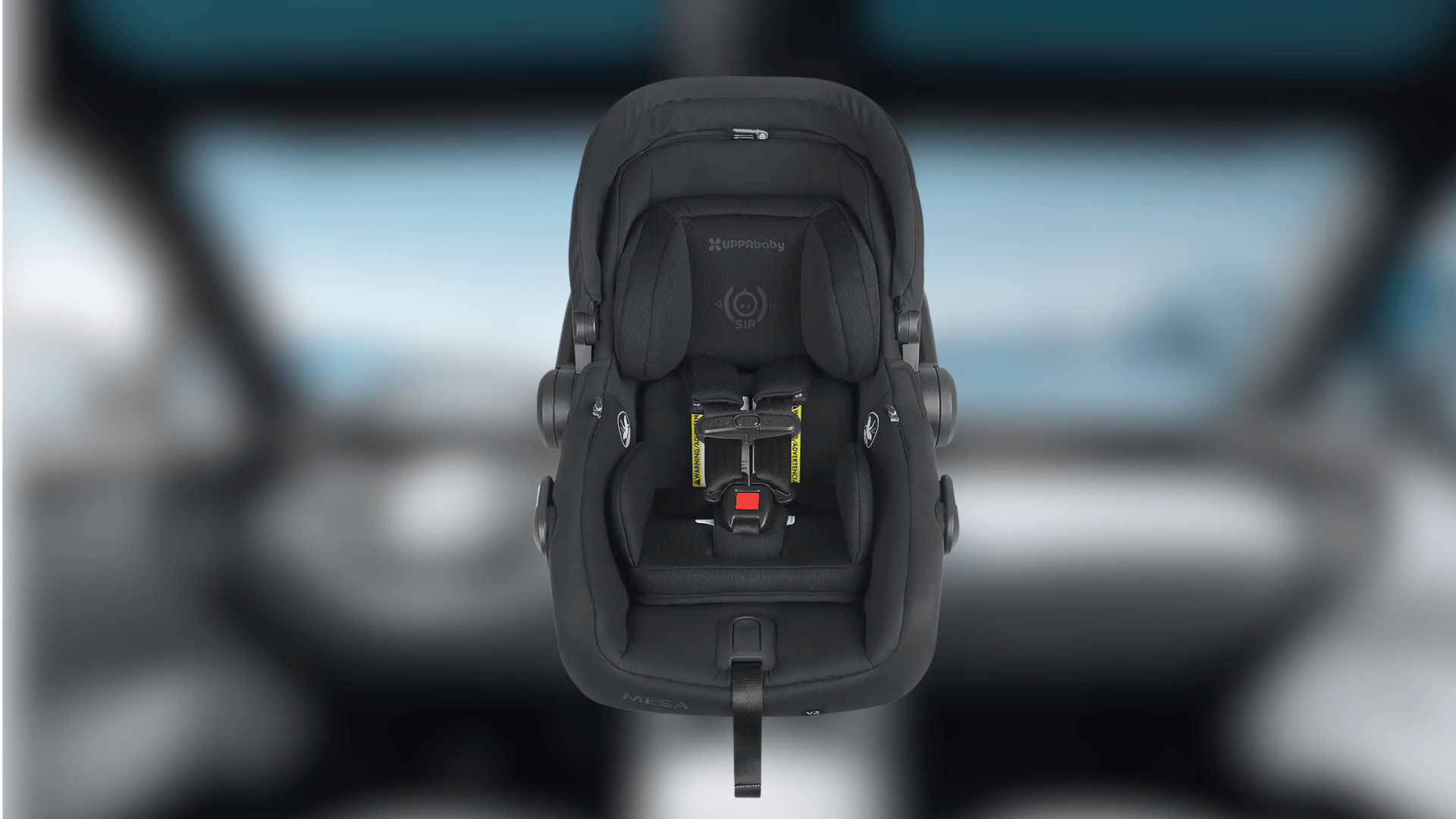 Choosing_the_Perfect_UPPAbaby_Car_Seat