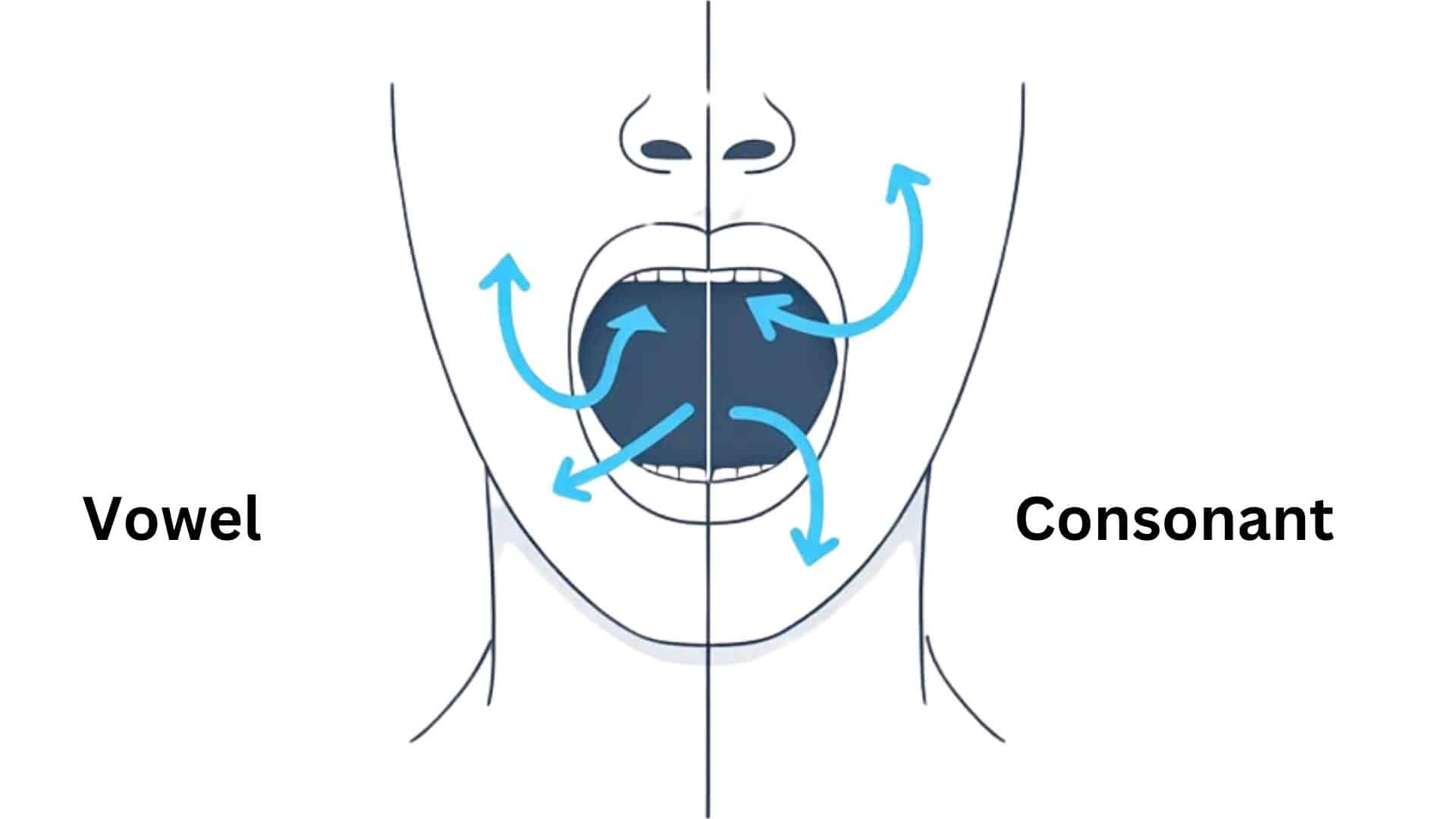 Real_Difference_Between_Vowels_and_Consonants_Explained