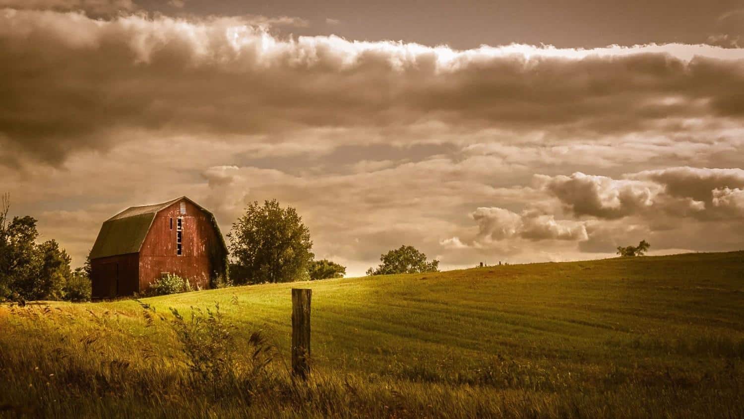 Top_5_Dreamy_Photography_Services