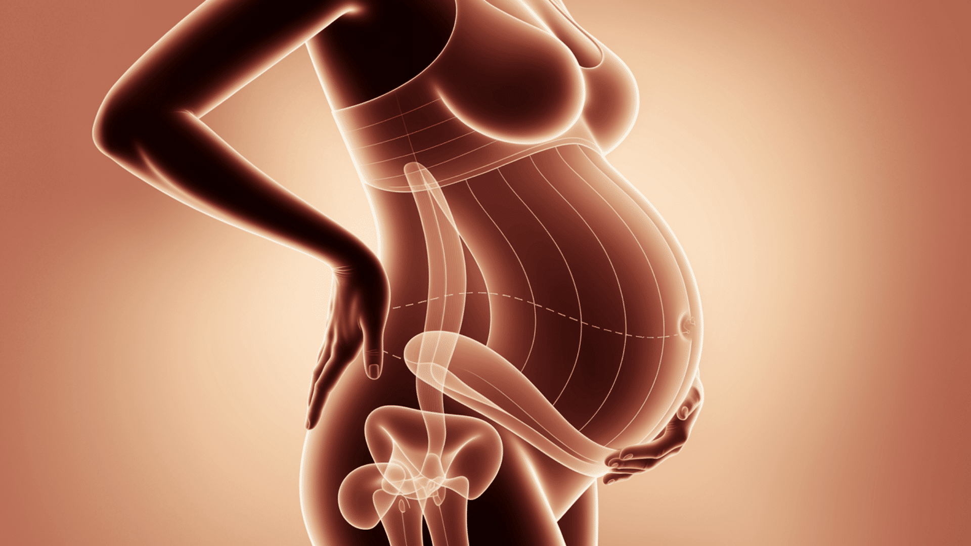 What Happens to Your Abs During Pregnancy?