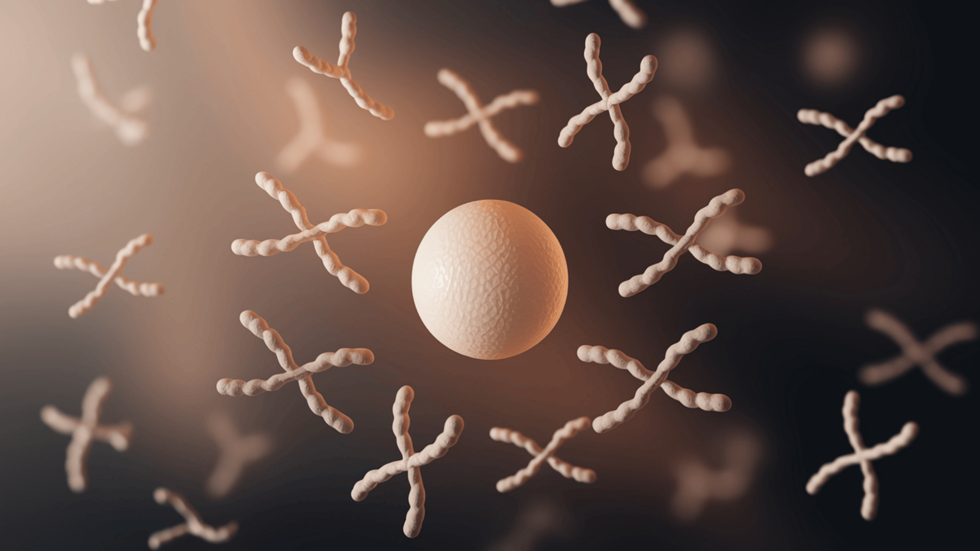 What_is_Aneuploidy_and_Why_Does_It_Matter