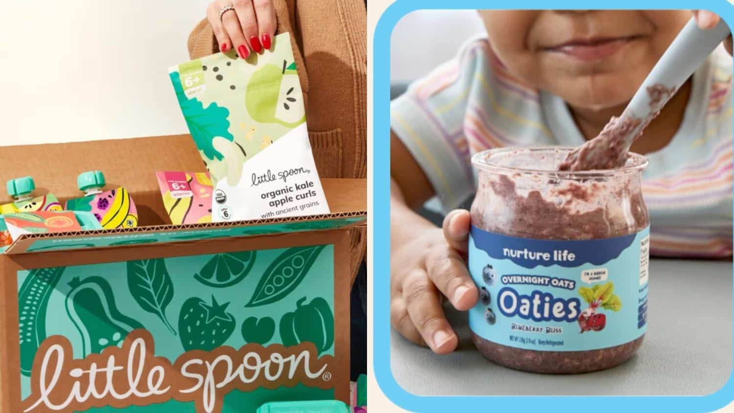 Which_Meal_Delivery_Service_Is_Right_for_You