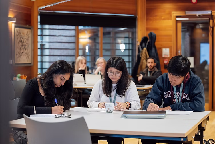 Why Business Summer Schools Are Essential for Career Growth