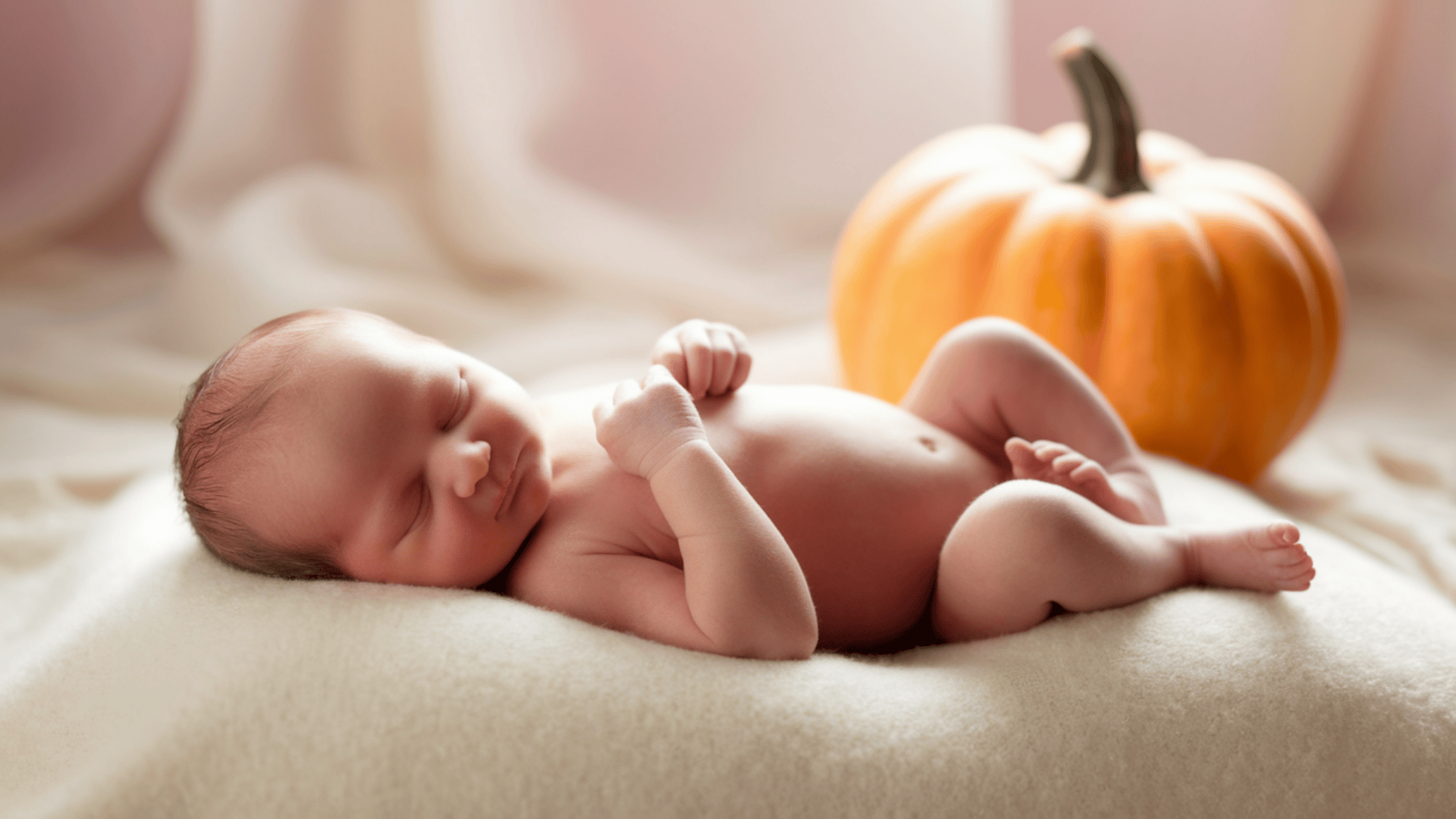 Why_Fruit_Comparisons_Work_And_When_They_Dont