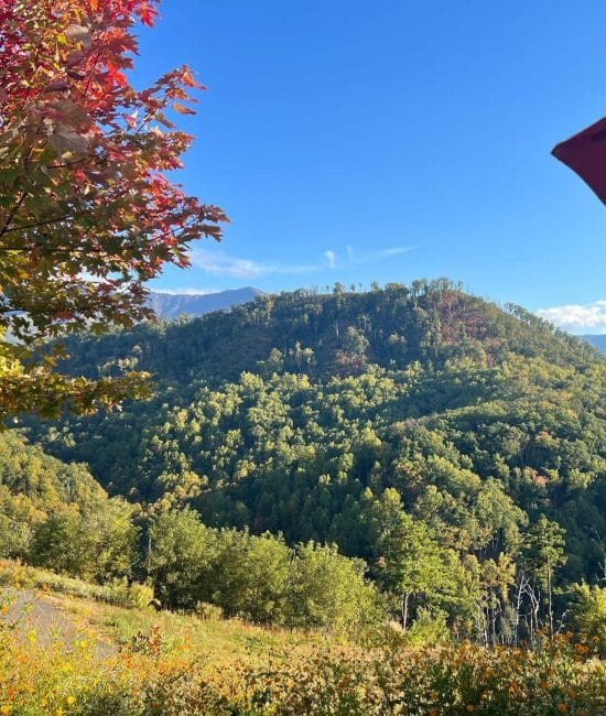 Explore Gatlinburg: Where Family Fun Never Stops